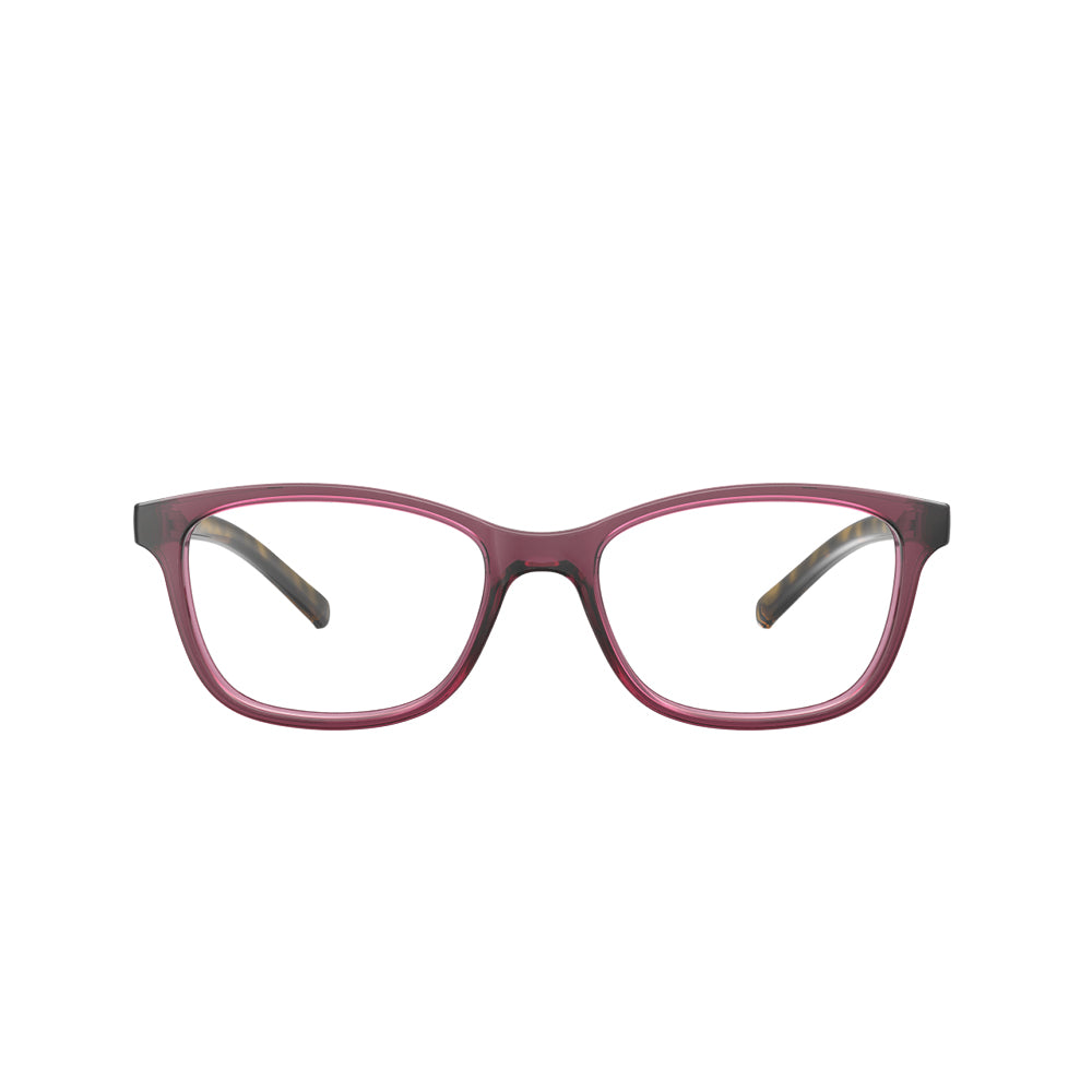 Óculos de Grau HB Polytech 0522 Cranberry/ Hava