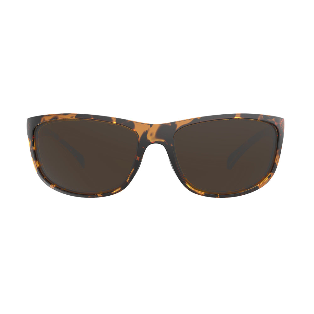 Óculos de Sol Fuse Havana Turtle Brow
