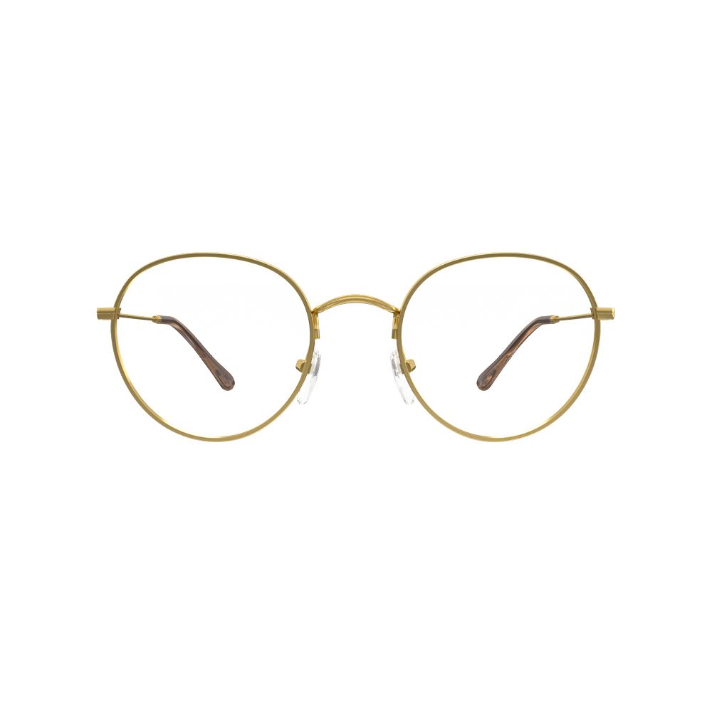 Óculos de Grau HB Ductenium 0451 Gold